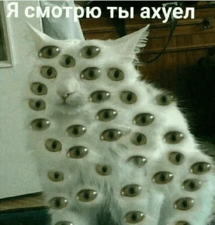 👀