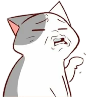 😸