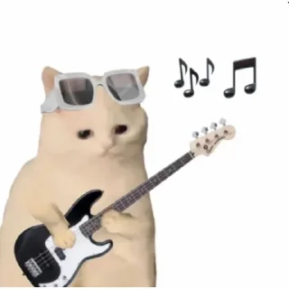 🎵