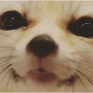 😊