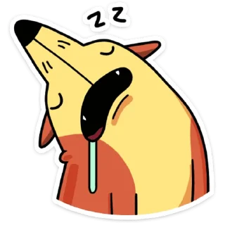 😴