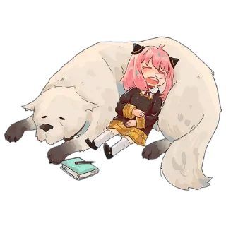 😴