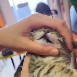 🤩