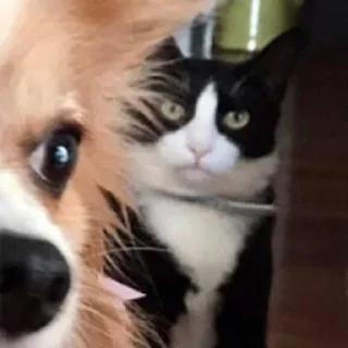 👀
