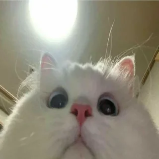 😅