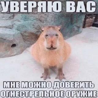 🤭