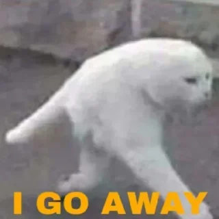 👋