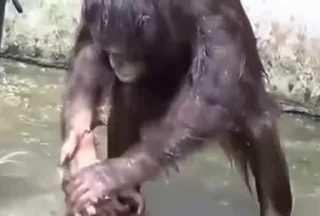 🤝