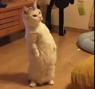 😠