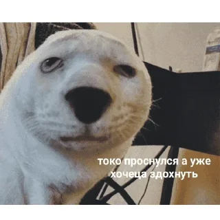 😞