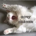 😴