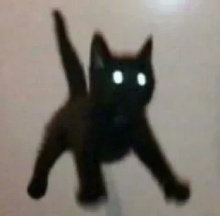 🐱
