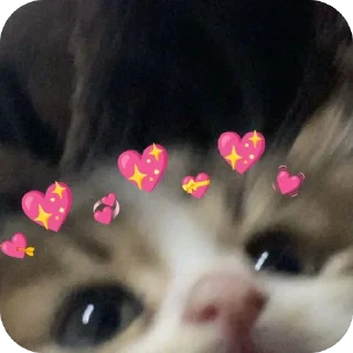 🫥