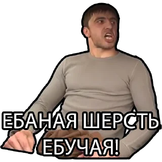 🐏