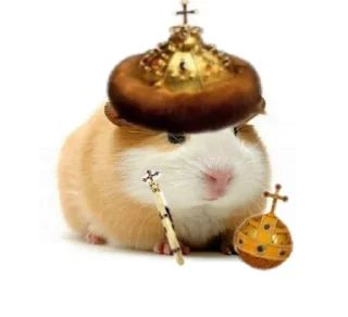 🐹