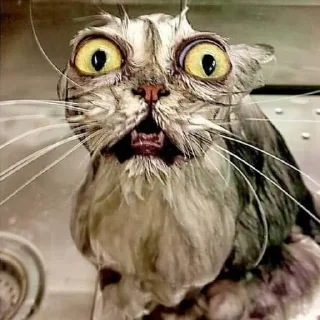 😱