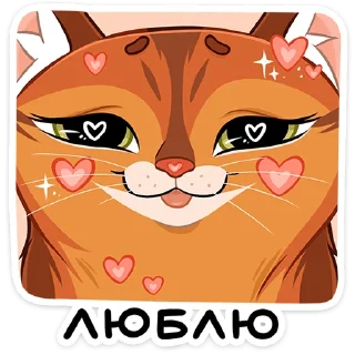 😍