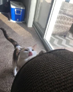 😛