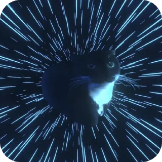 🐱