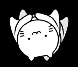 🐱
