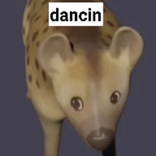 💃