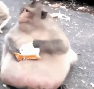 🍔