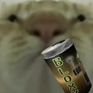 😻
