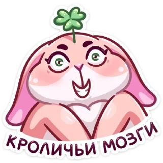 🐇