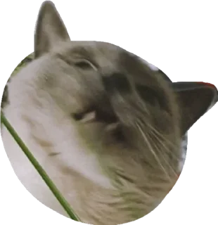 😨