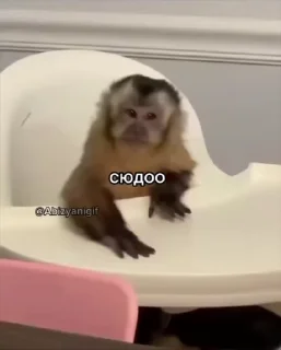 🌟