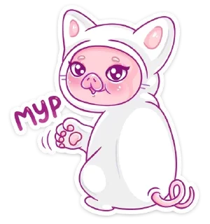 🐱