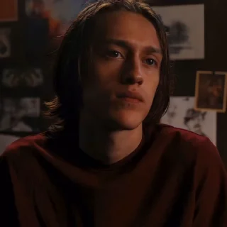 🕷️