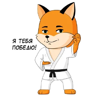 🥋