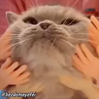 ☺️