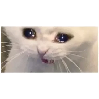 🥺