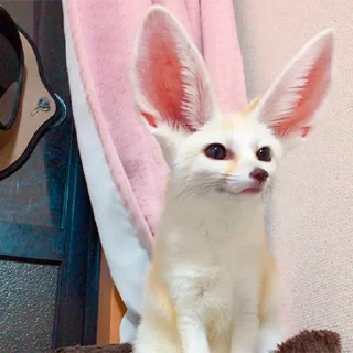 🙂