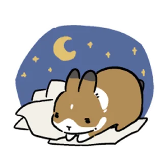 😴
