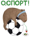 ⚽
