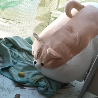 👀