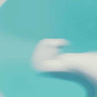 🦭
