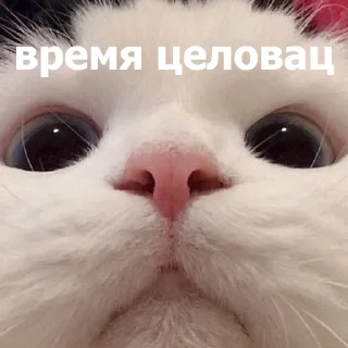 😚