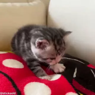 ❤️