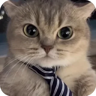😐