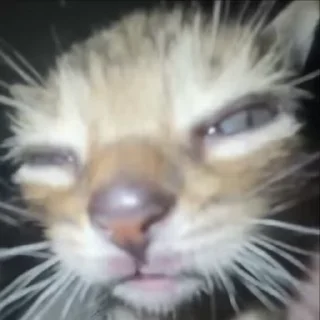 😁