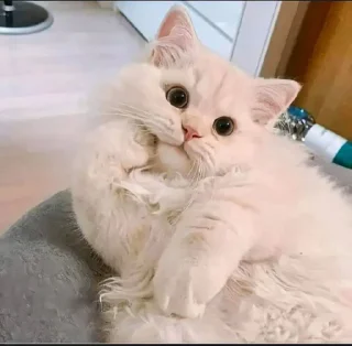 😋