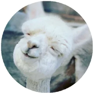 😊