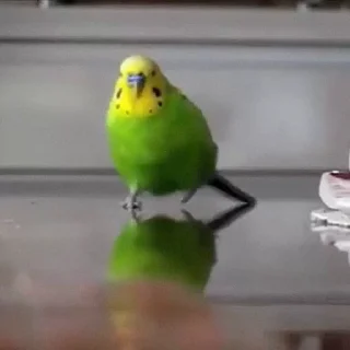 💣