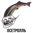 🐟