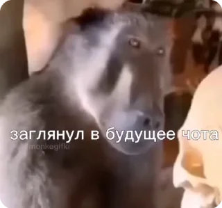 💀