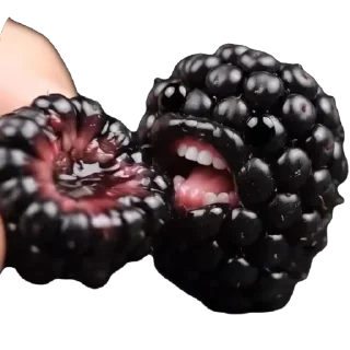 🍽